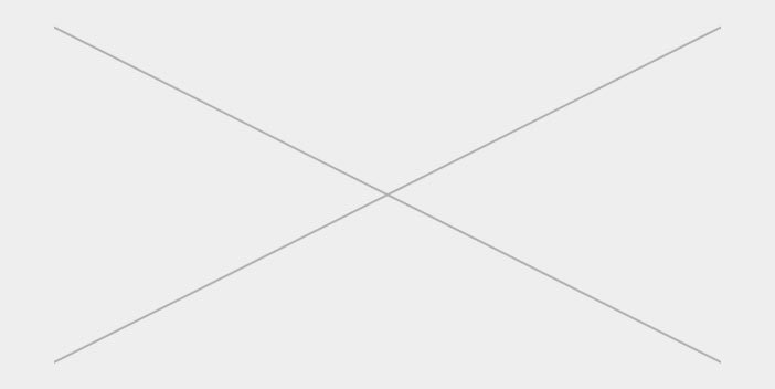 Faux Leather Backpacks